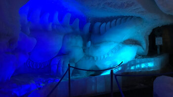 liegender Drachen in der Eisgrotte