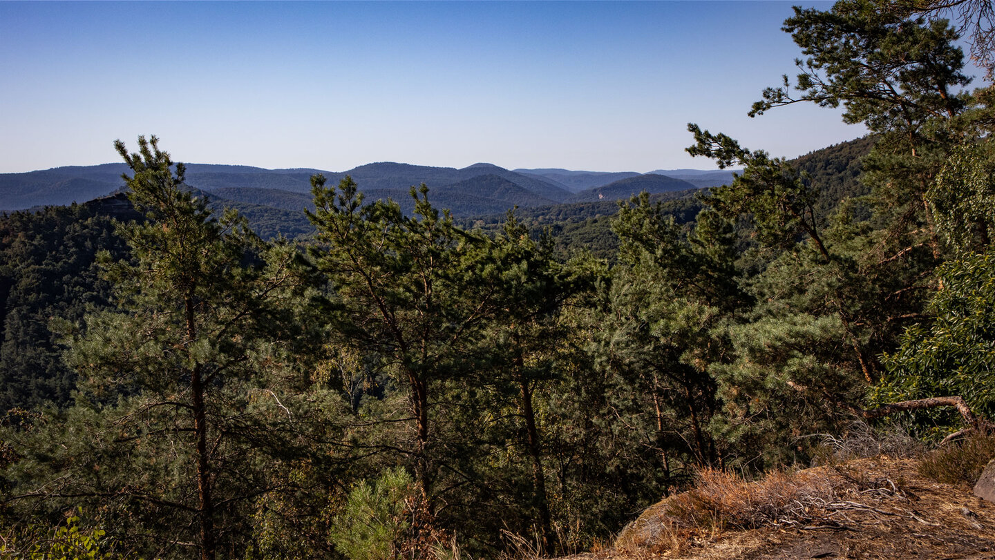 Weite Waldlandschaft des Wasgaus gesehen vom Kühhungerfelsen, rechts Sandsteinkante, links Haselstein als Felskuppe