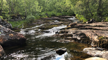 Wanderweg entlang wildromantischer Bachläufe
