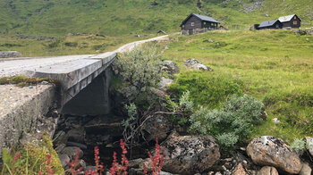 Brücke am Wanderweg