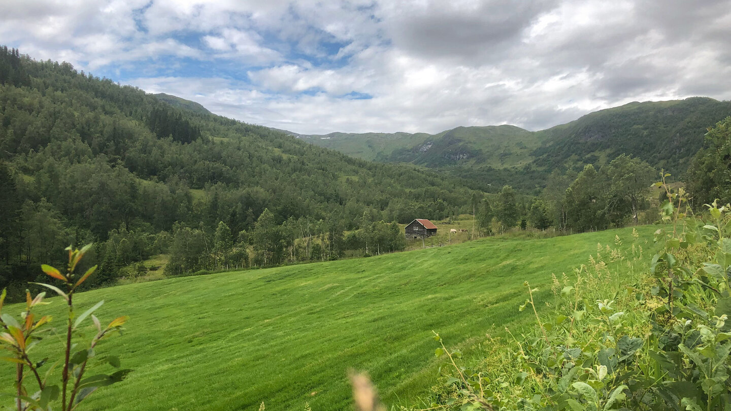 Wiesen am Wanderweg