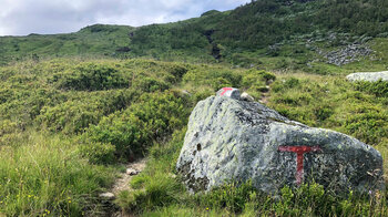 Wanderpfad zum Bergsee Mykjedalsvatnet
