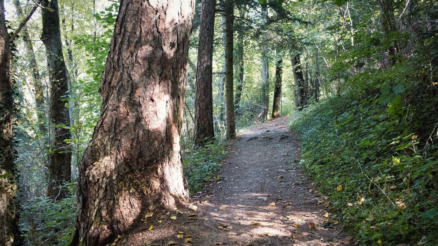 Wanderweg durch die Fürstlichen Anlagen Inzigkofen