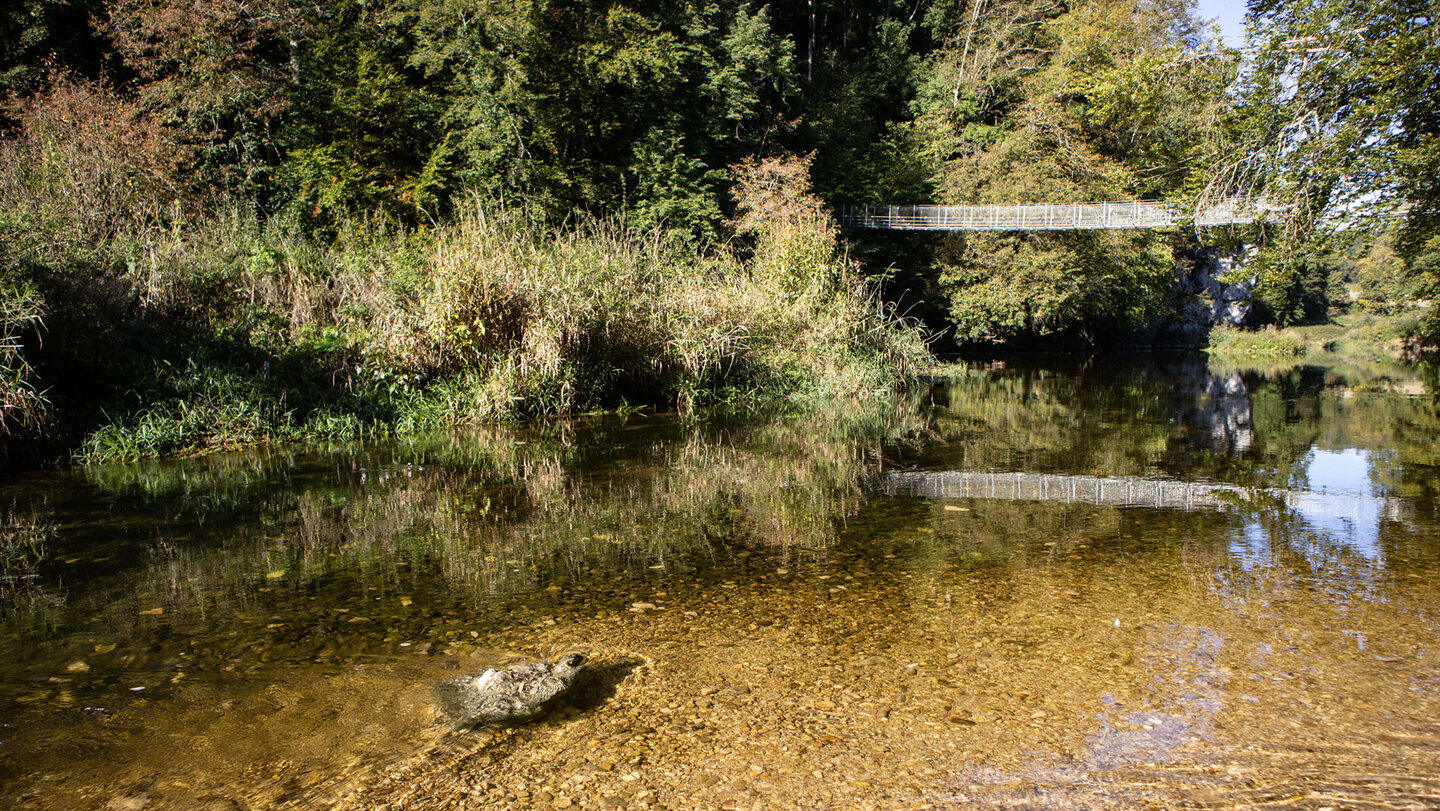 Hängebrücke in den Donauauen
