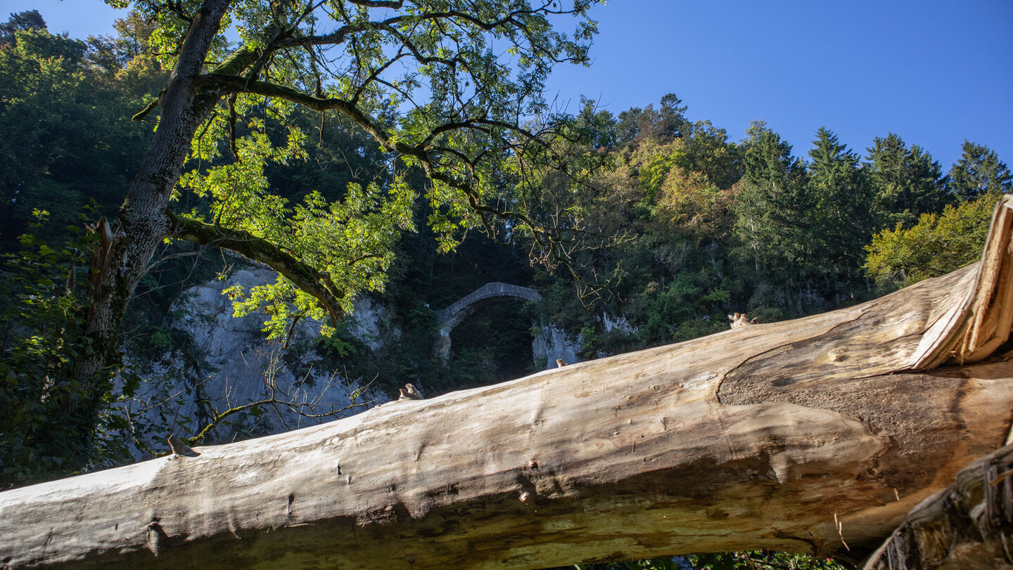 Teufelsbrücke über der Höll-Schlucht