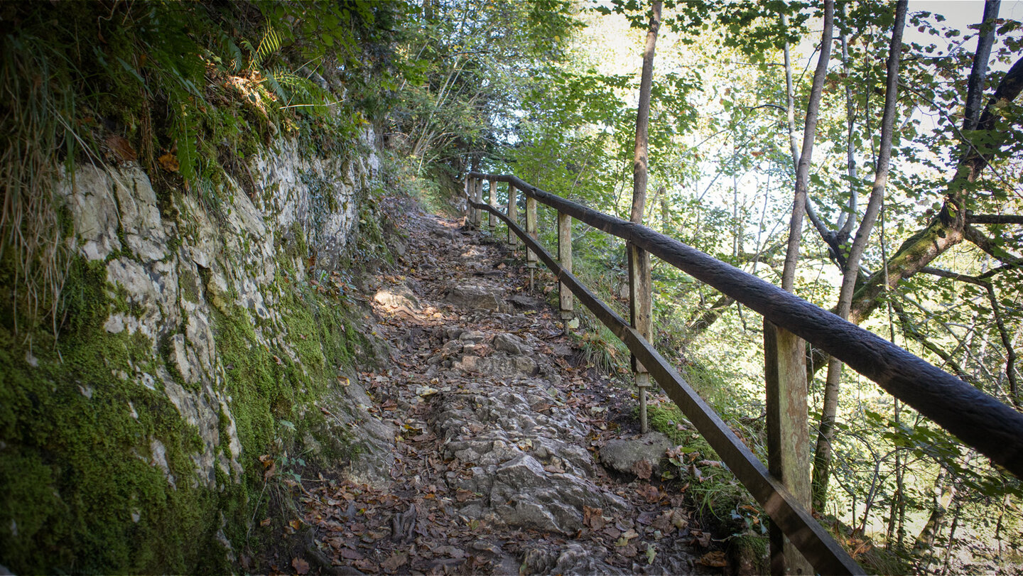 Weg im Fürstlichen Park Inzigkofen