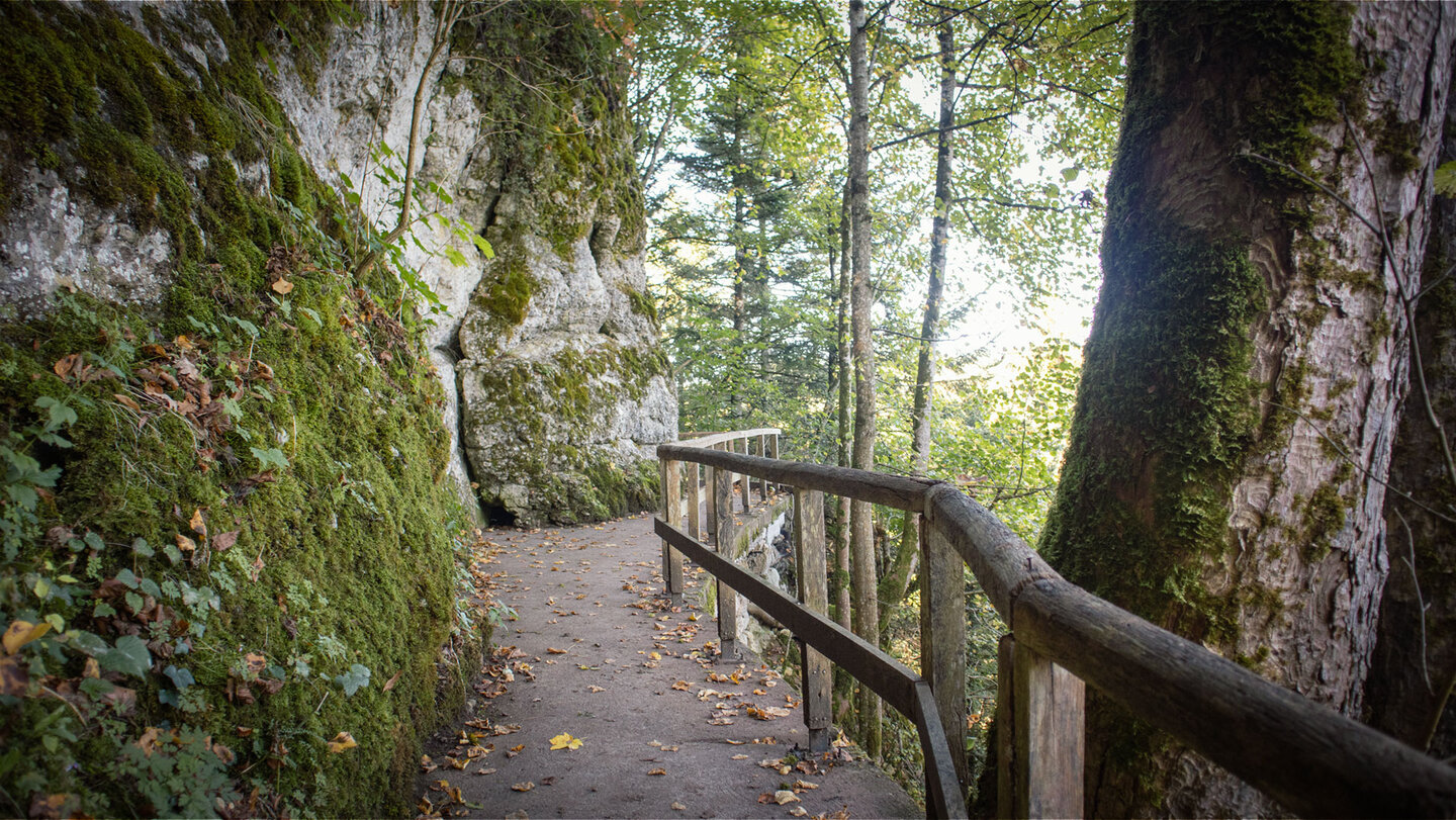 Wanderweg entlang der Donaufelsen