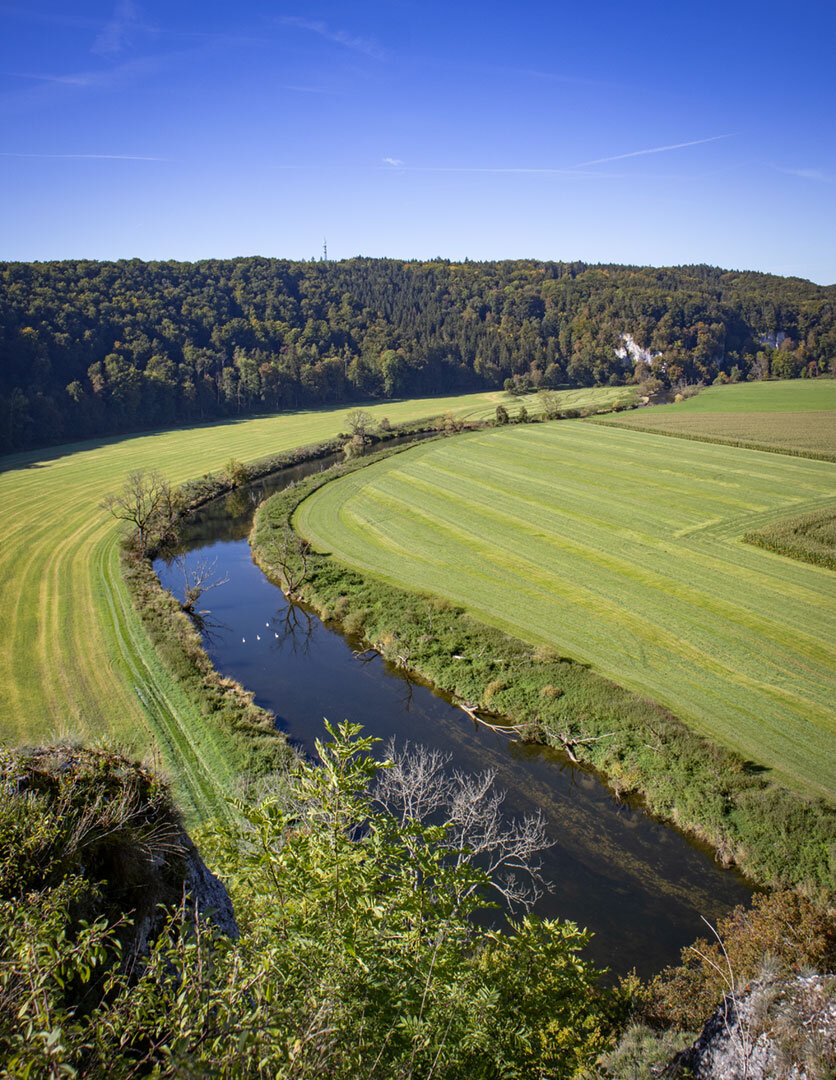 Donauschleife  vom Aussichtspunkt Känzele