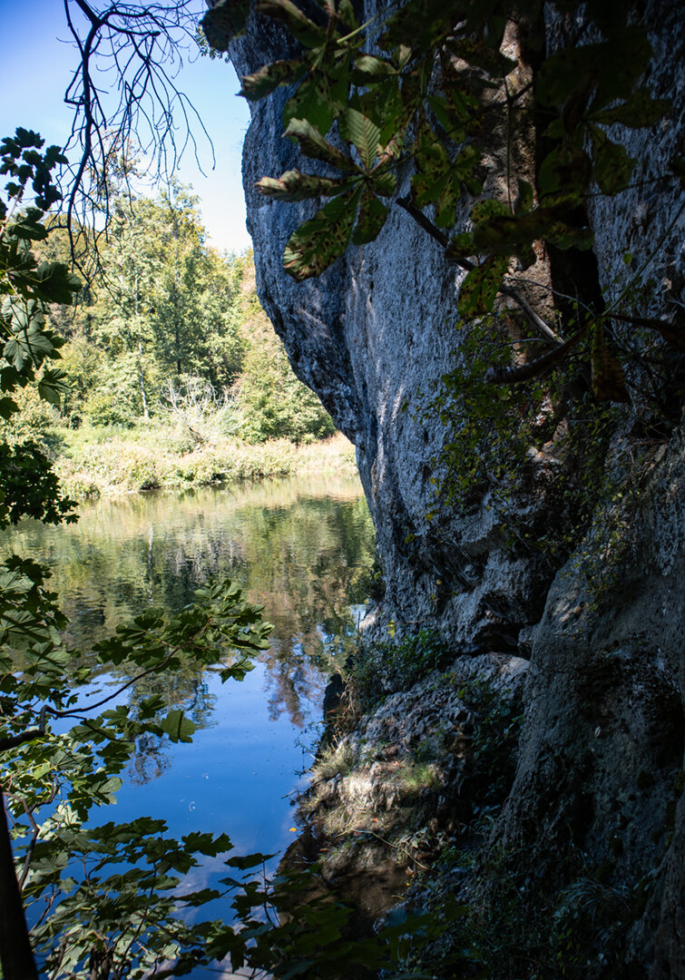 der Amalienfelsen wird von der Donau umspült