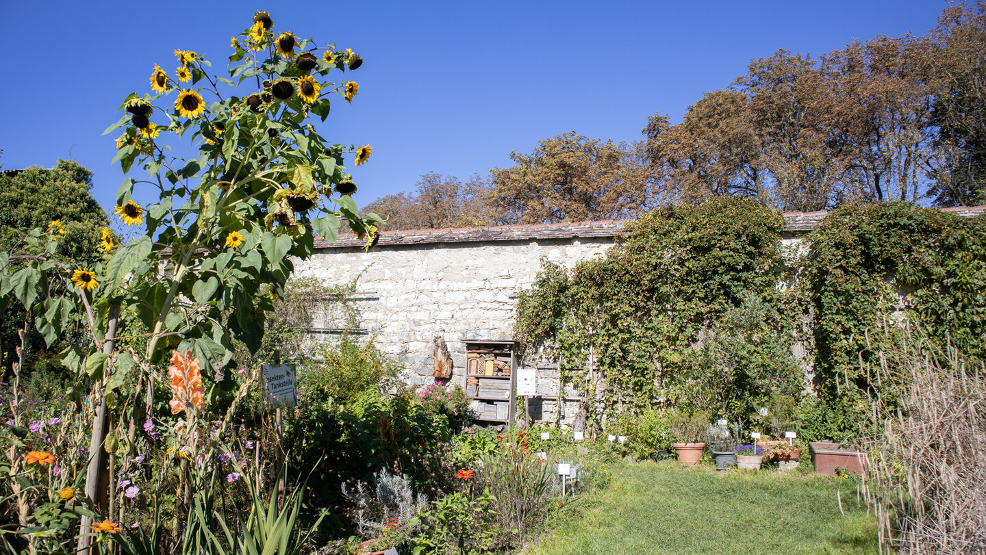 Kräutergarten beim Kloster Inzigkofen