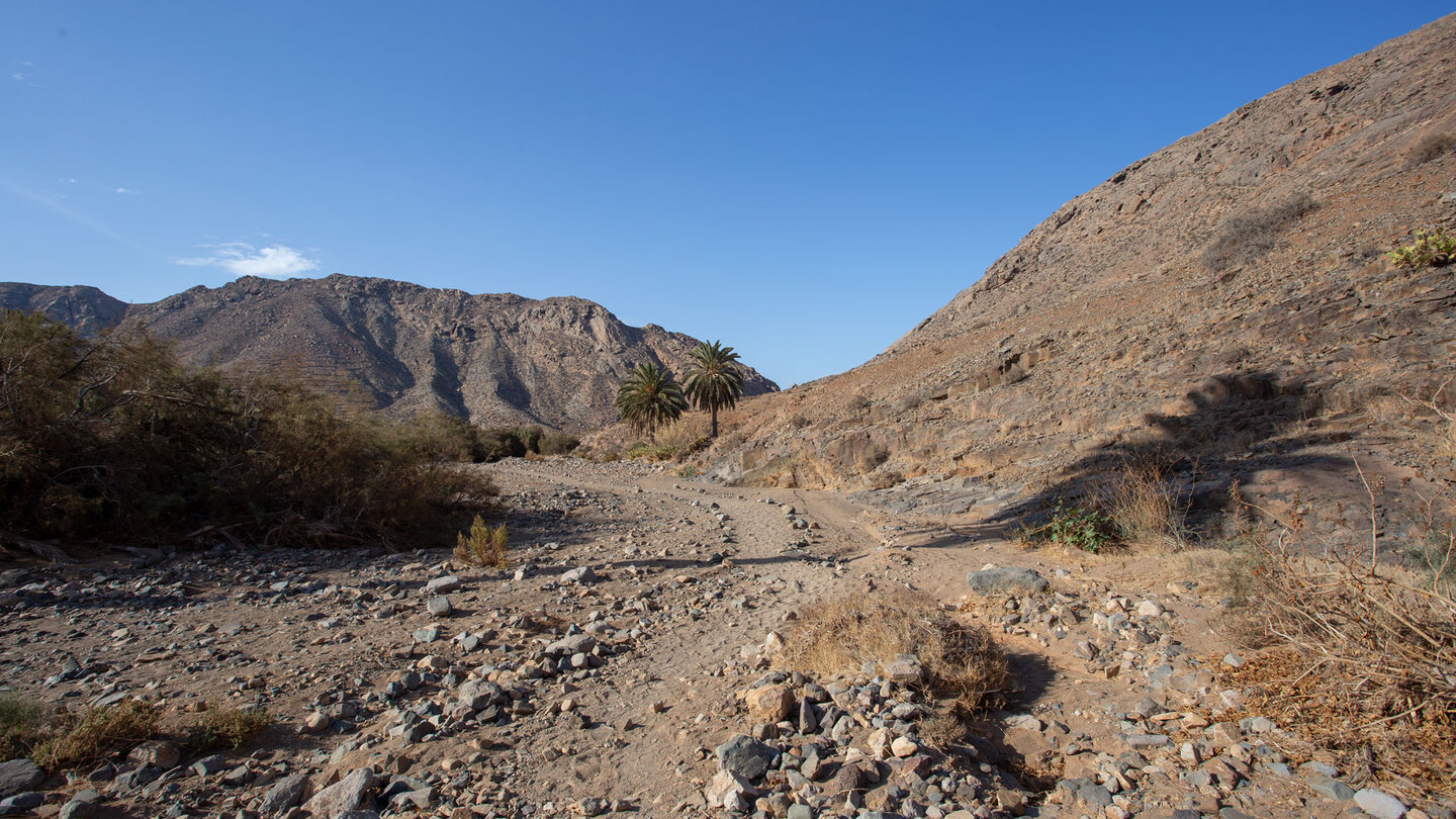 Blick über den Wanderweg zum Risco de las Peñas