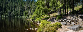 der Galswaldseeist ein Karsee im Schwarzwald