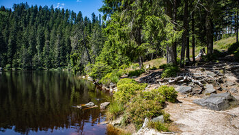 der Galswaldseeist ein Karsee im Schwarzwald