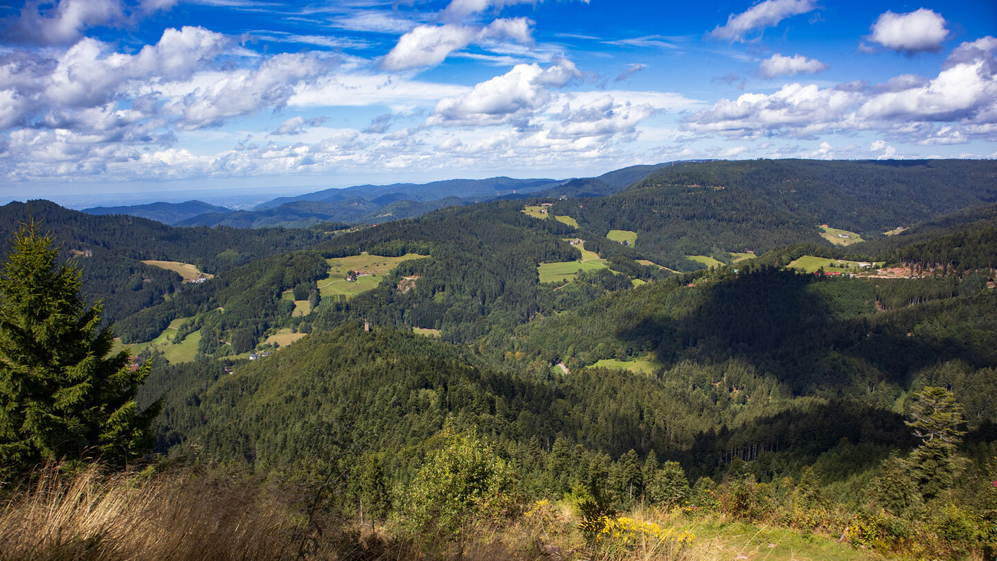 Ausblick vom Aussichtspunkt Marienruhe auf den Haberer Turm