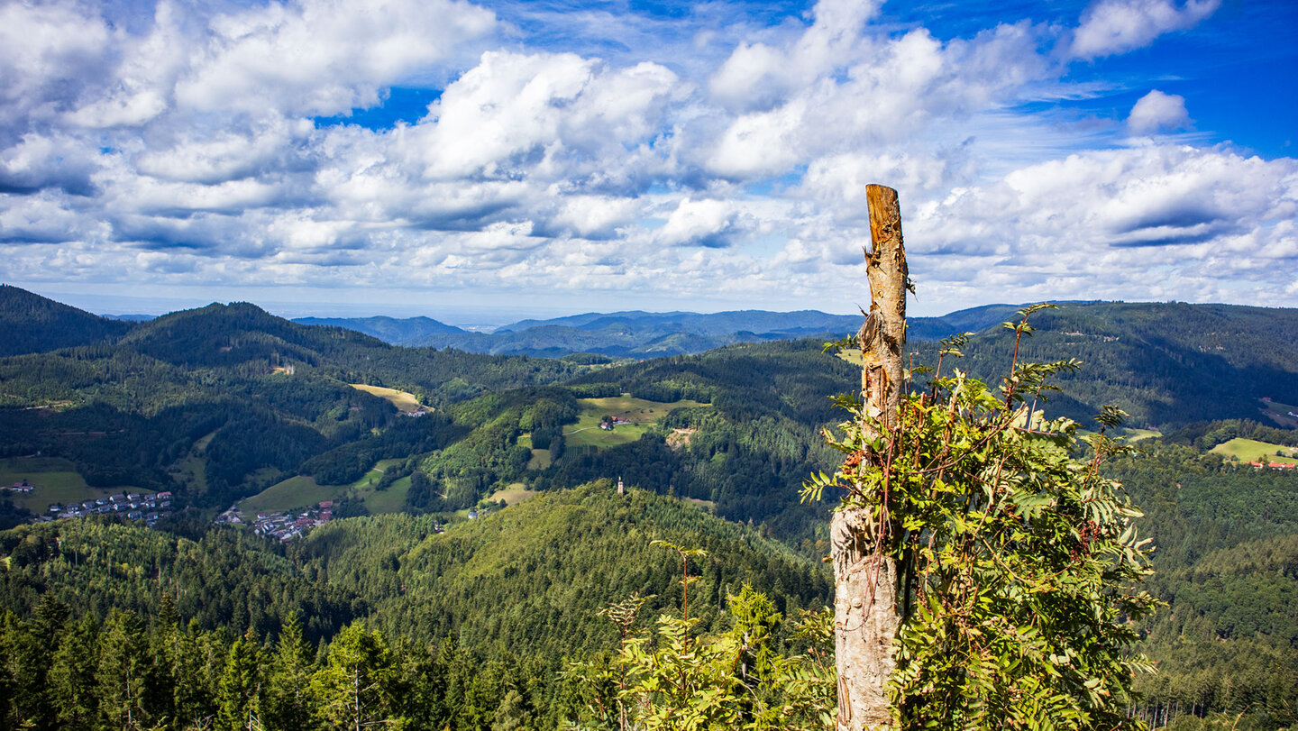 die Marienruhe bietet Tiefblicke ins Renchtal und die Schwarzwaldhöhen