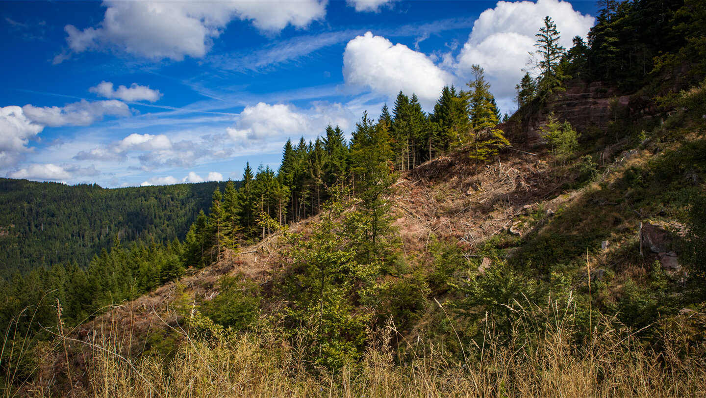 Erosion am Rappenschliff unterhalb der Marienruhe