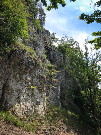 eine Brücke verbindet Teilstücke des Höhenglückssteigs