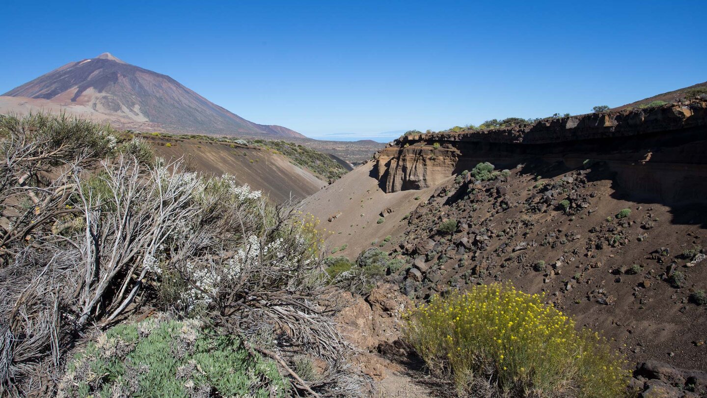 tiefe Erdspalte mit freigelegten Vulkanascheschichtungen vor dem Teide
