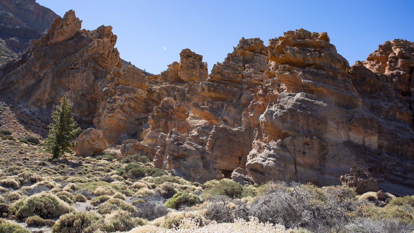 die Piedras Amarillas auf dem Wanderweg Siete Cañadas