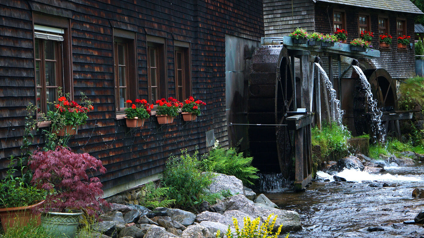 Hexenlochmühle mit ihren zwei Mühlrädern im Schwarzwald