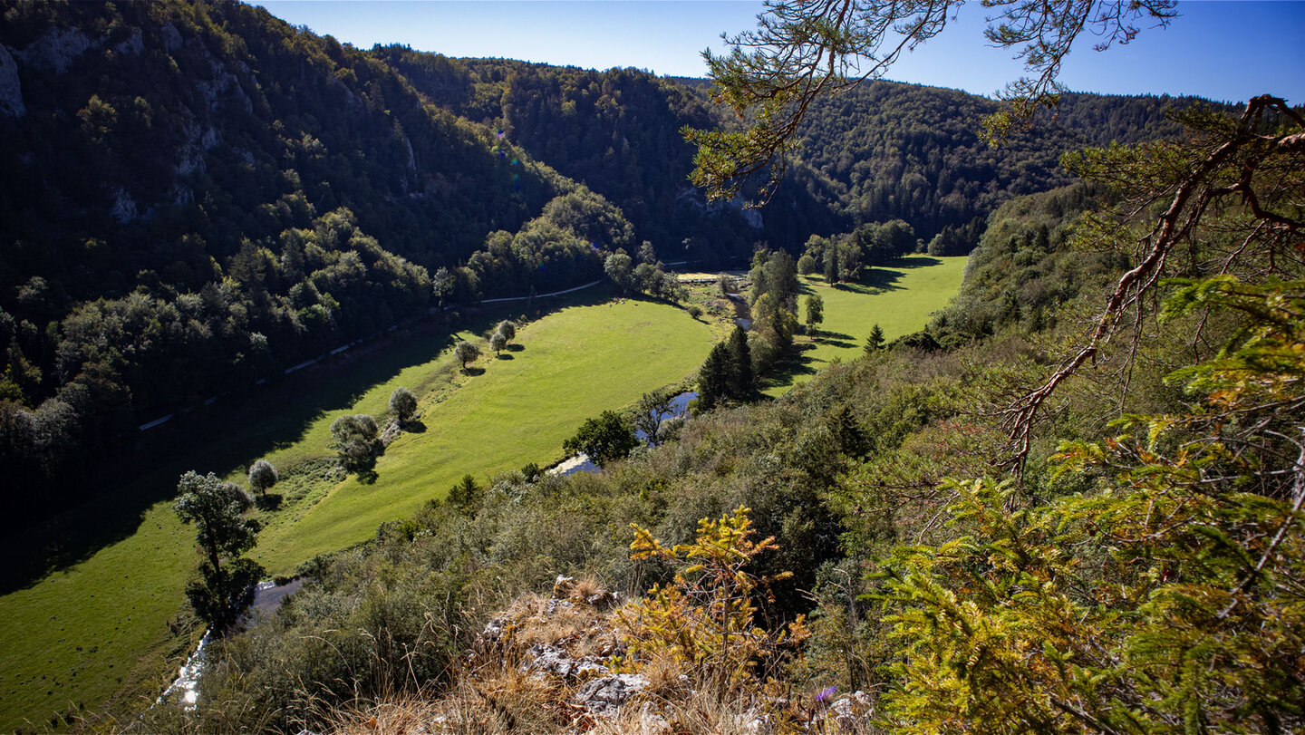 Grüne Flusswiesen und Felshänge, Blick ins Donautal.