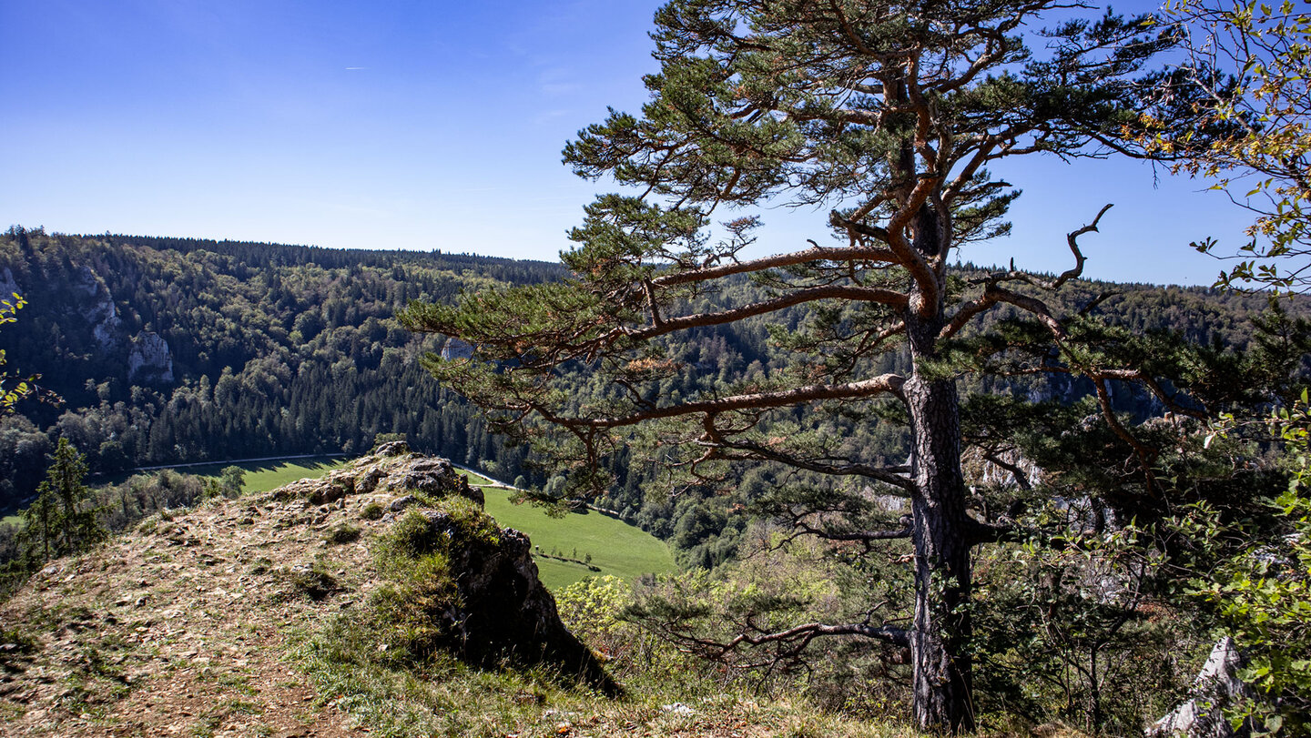 Felsvorsprung und Waldpanorama, Stiegelesfels im Naturpark Obere Donau.