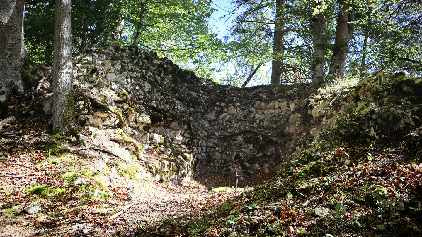 Reste der mittelalterlichen Burgruine Stein, Donautal.