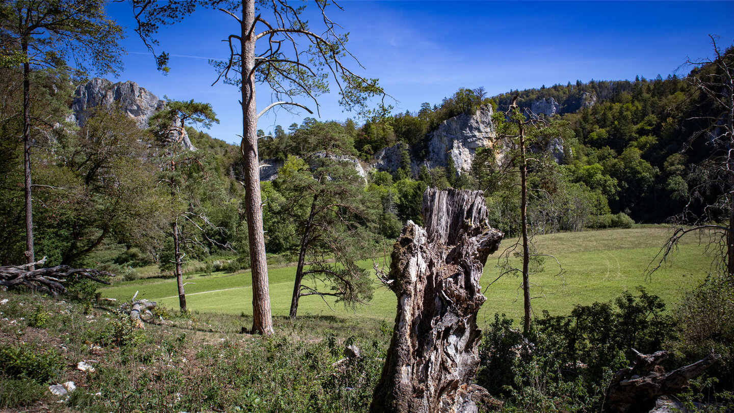Wiesenlandschaft mit Felsen im Hintergrund, Donautal.