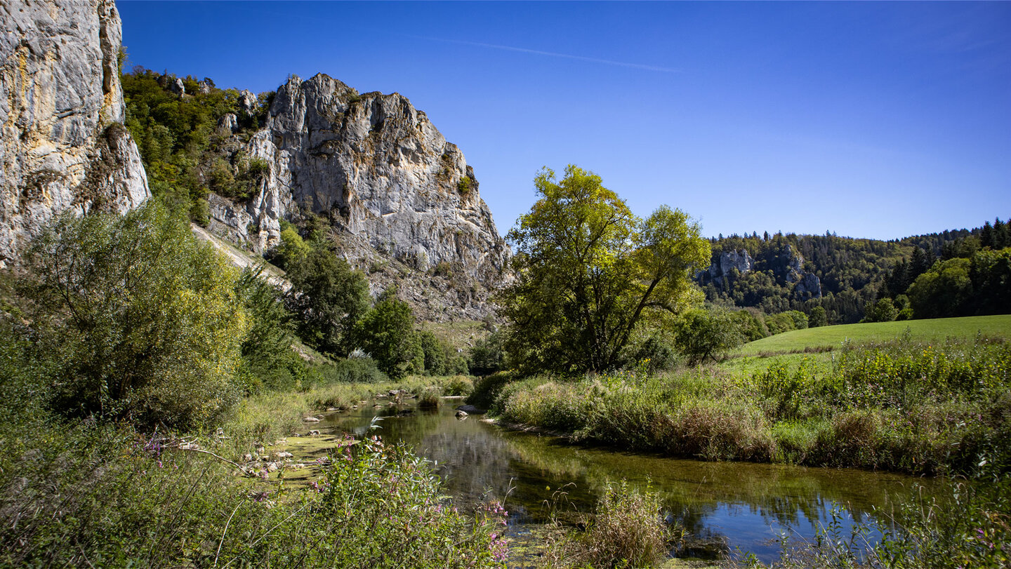 Flusslauf und Felswand unterhalb des Stiegelesfels.