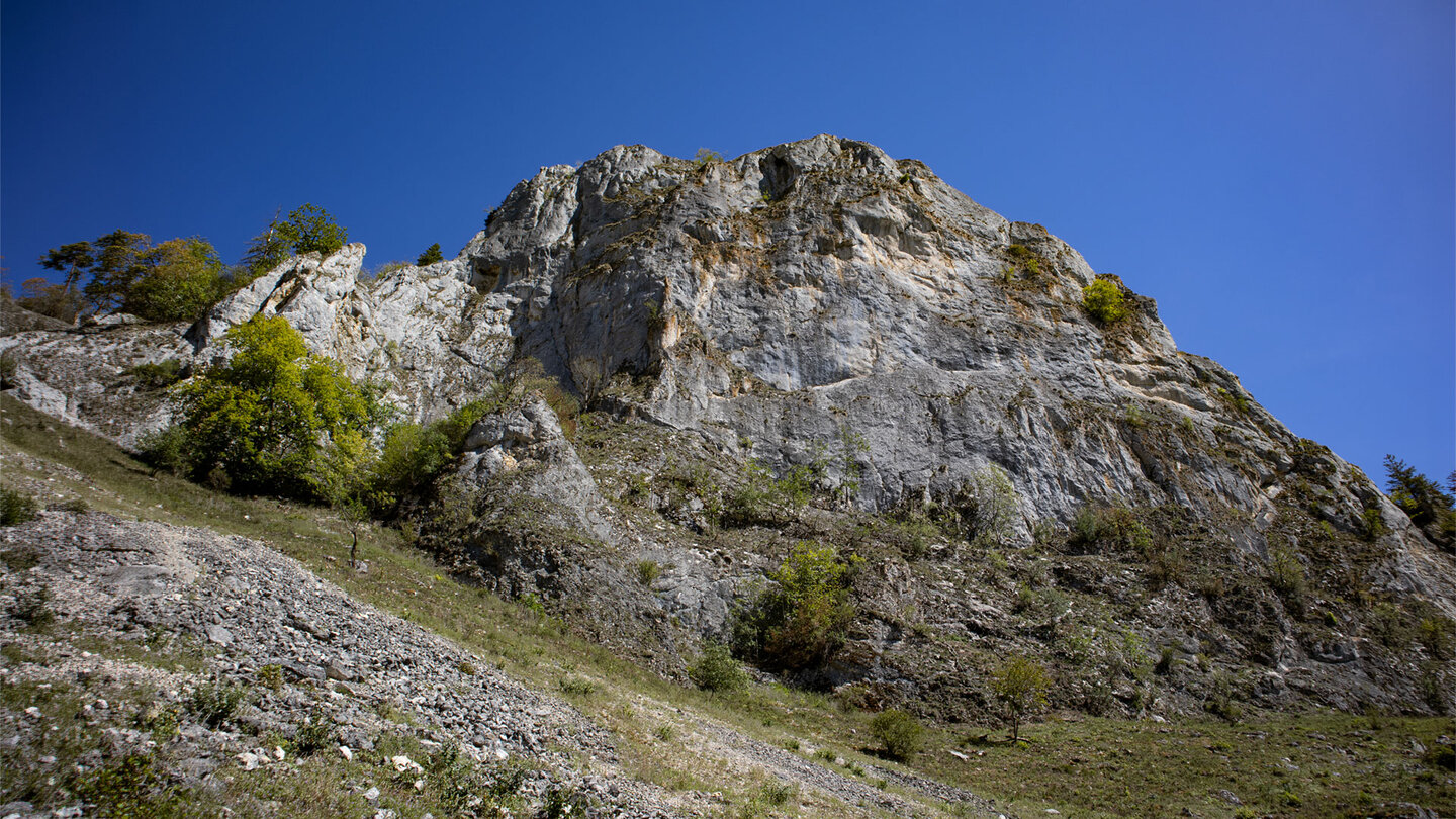 Karstfelsen und Schutthalde, Donautal.