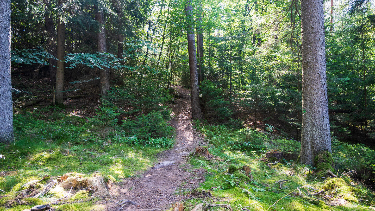 Wanderroute zum Kleinen Teufelstisch bei Eppenbrunn