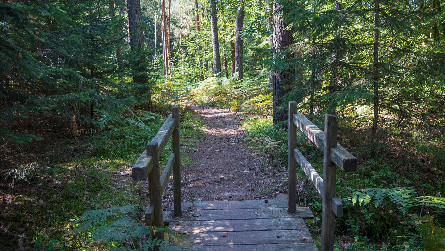 Brücke auf der Eulenfelsen-Tour bei Eppenbrunn
