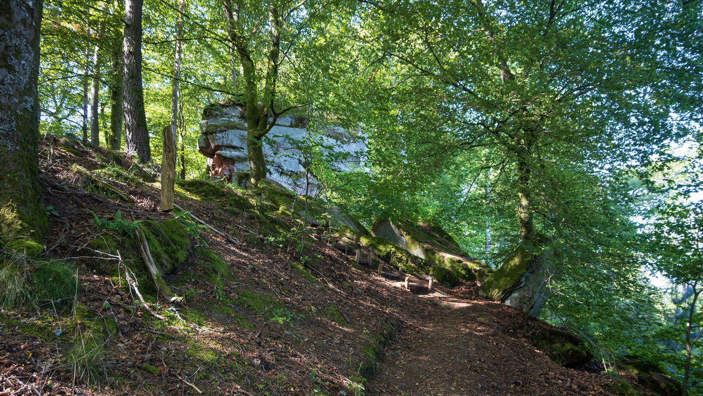 Wanderung zum Eulenfelsen im Pfälzerwald
