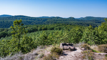 Panorama über den Pfälzerwald auf der Eulenfels-Tour am Eulenfels