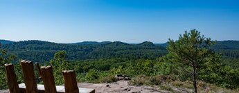 der Aussichtspunkt am Eulenfels im Pfälzerwald