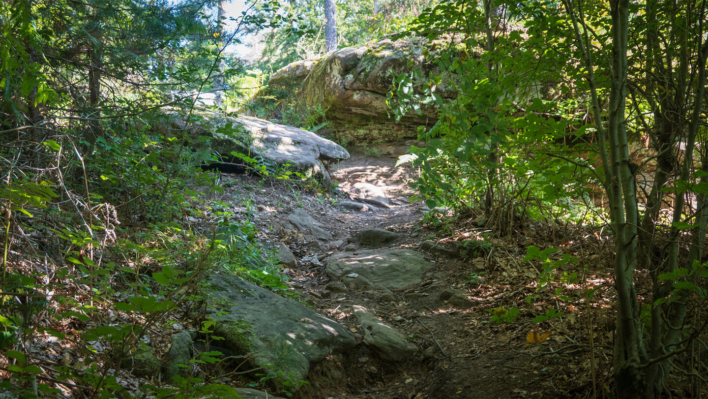 Wanderweg entlang der Eulenfels-Tour