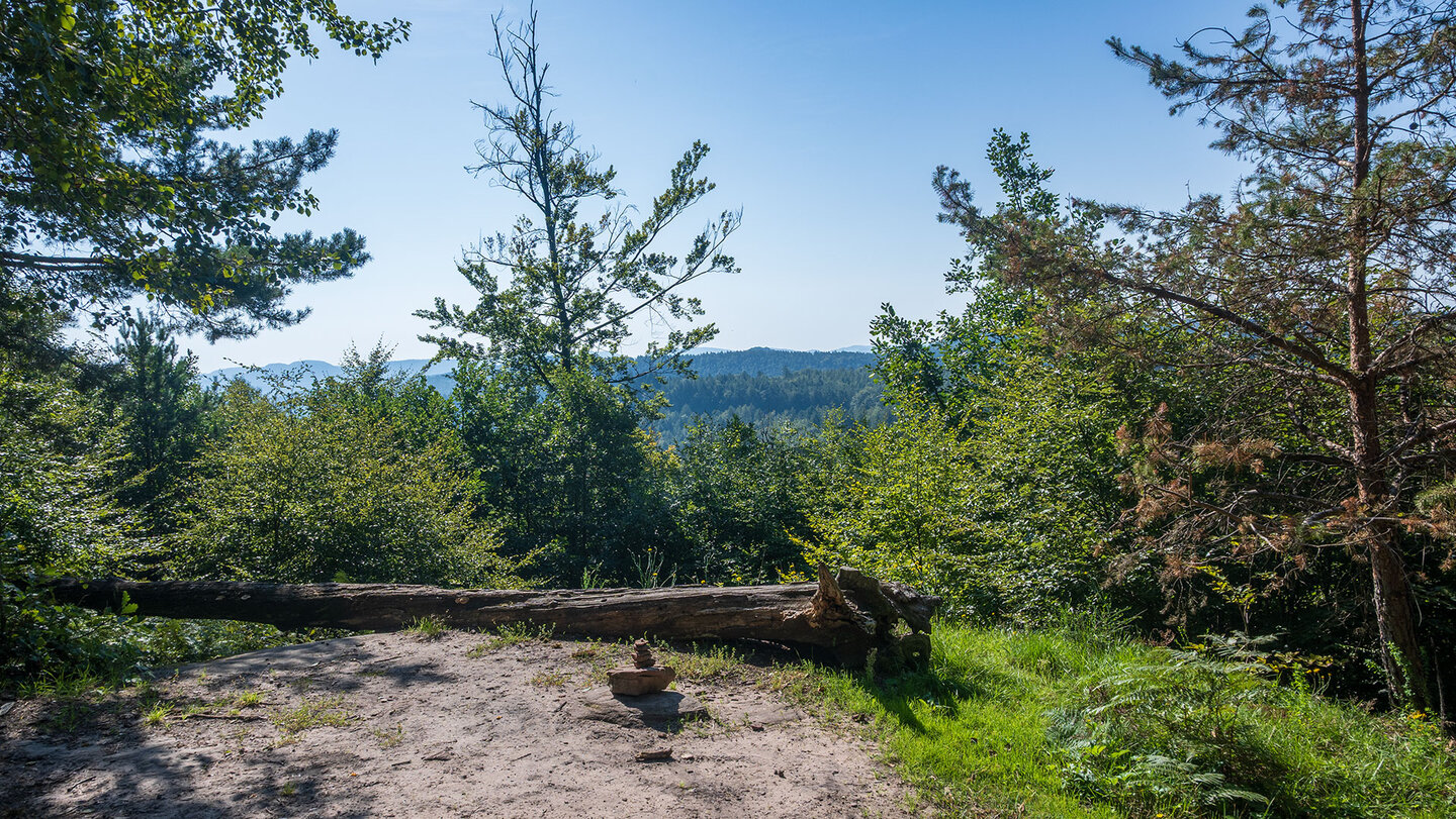 am Aussichtspunkt »Umgefallene Eiche«