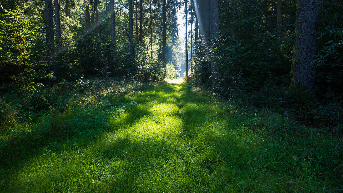 Impressionen auf der Eulenfels-Tour