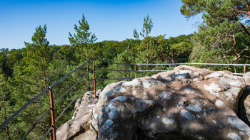 Ausblick vom Christkindelsfels über den Pfälzerwald