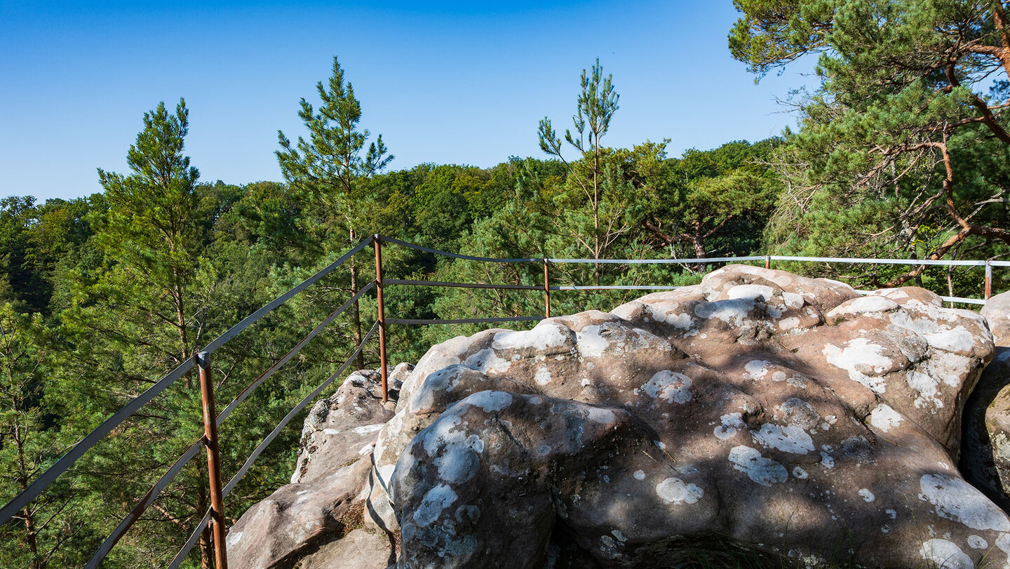 Ausblick vom Christkindelsfels über den Pfälzerwald