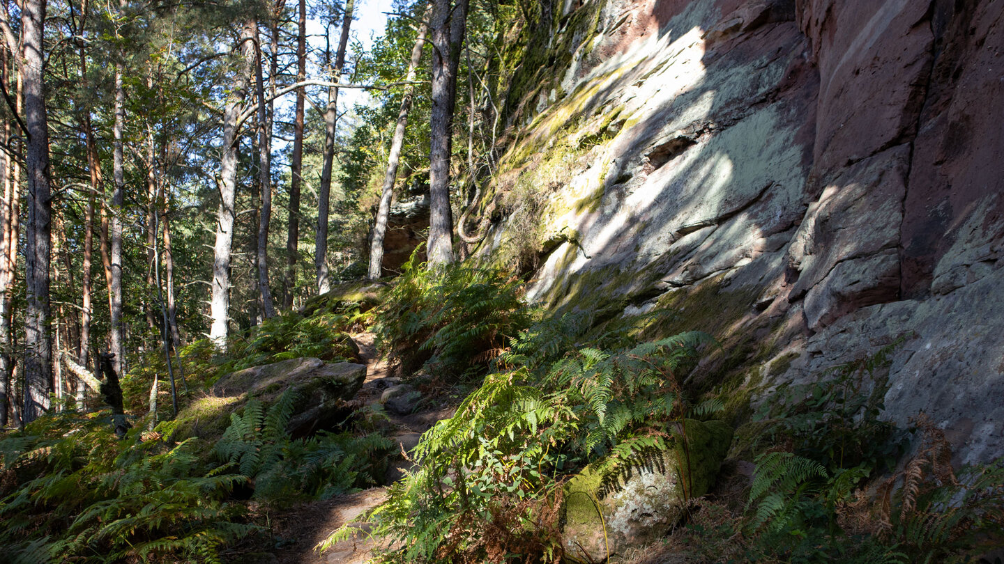 Napoleonsteig am Fuße des Retschelfelsens