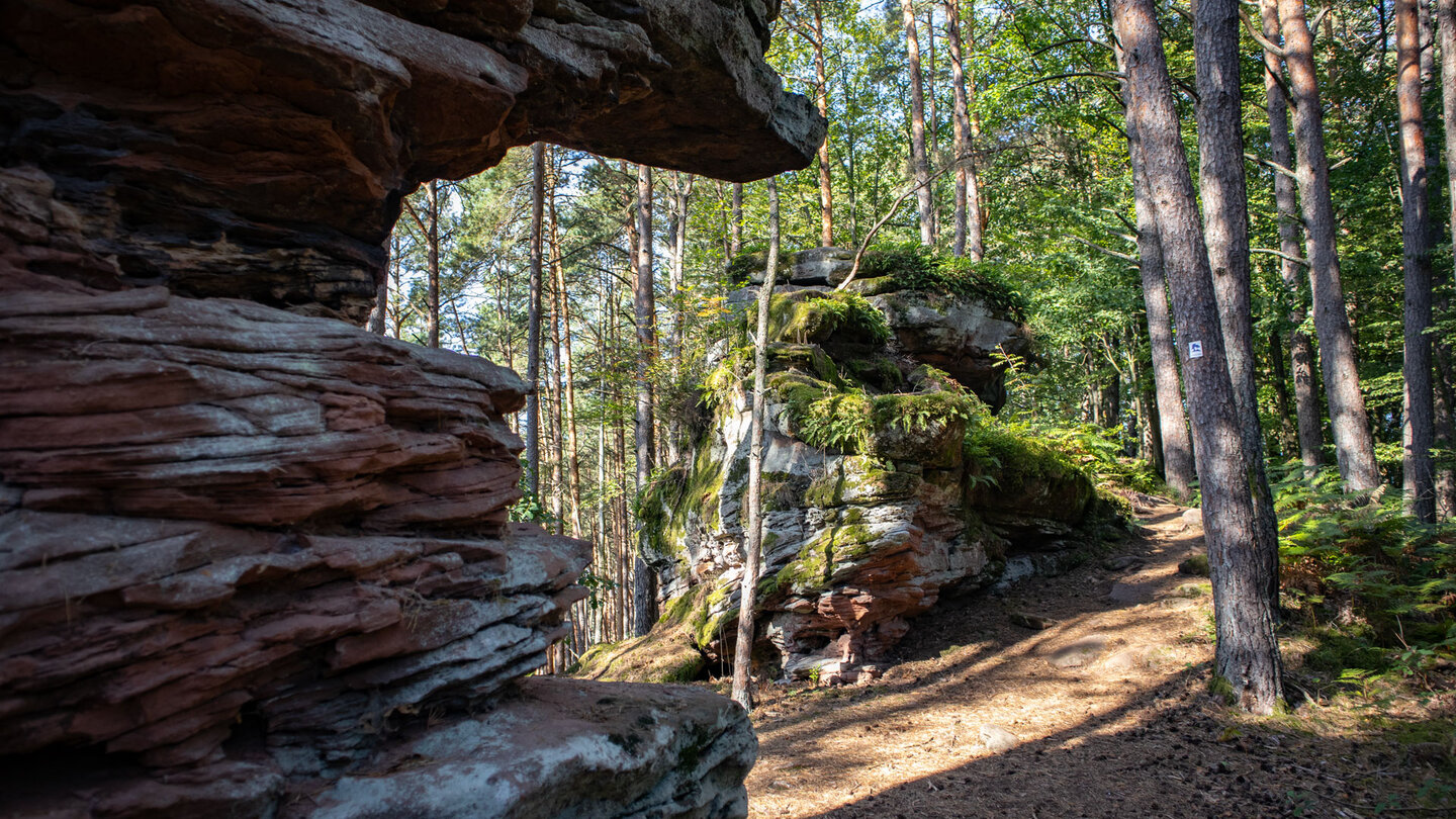 Wanderung entlang üppig bewachsener Felsen Wanderung entlang bewachsener Felsen