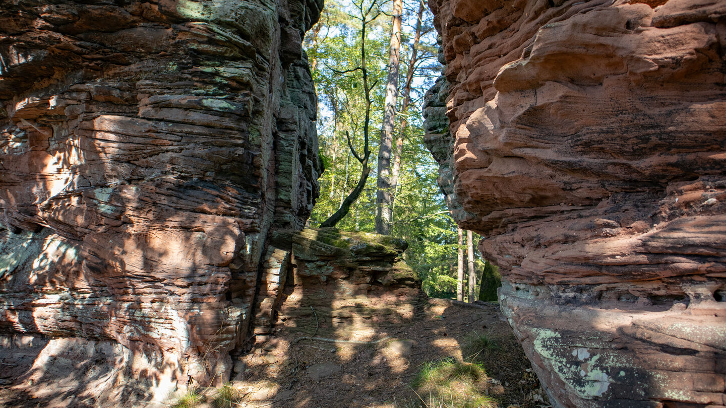 Felsspalte am Rauhbergfelsen