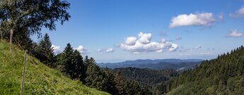 Ausblick von Weideflächen über die Täler des Schwarzwalds