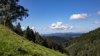 Ausblick von Weideflächen über die Täler des Schwarzwalds