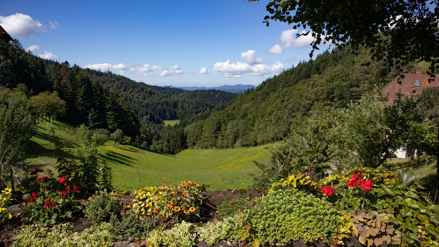 Ausblick übers Riersbachtal Ausblick übers Riersbachtal