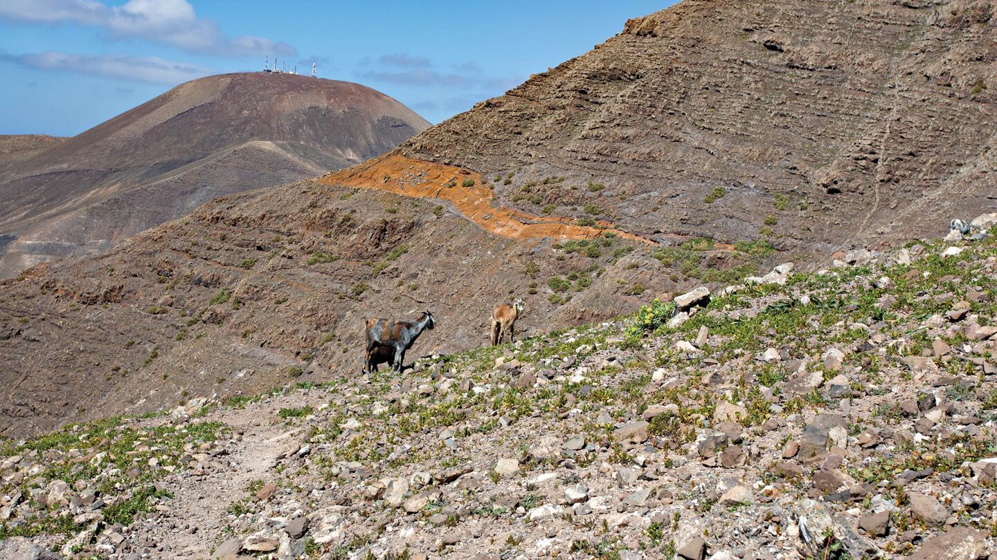 Blick zurück entlang des Wanderwegs auf den Atalaya de Femés