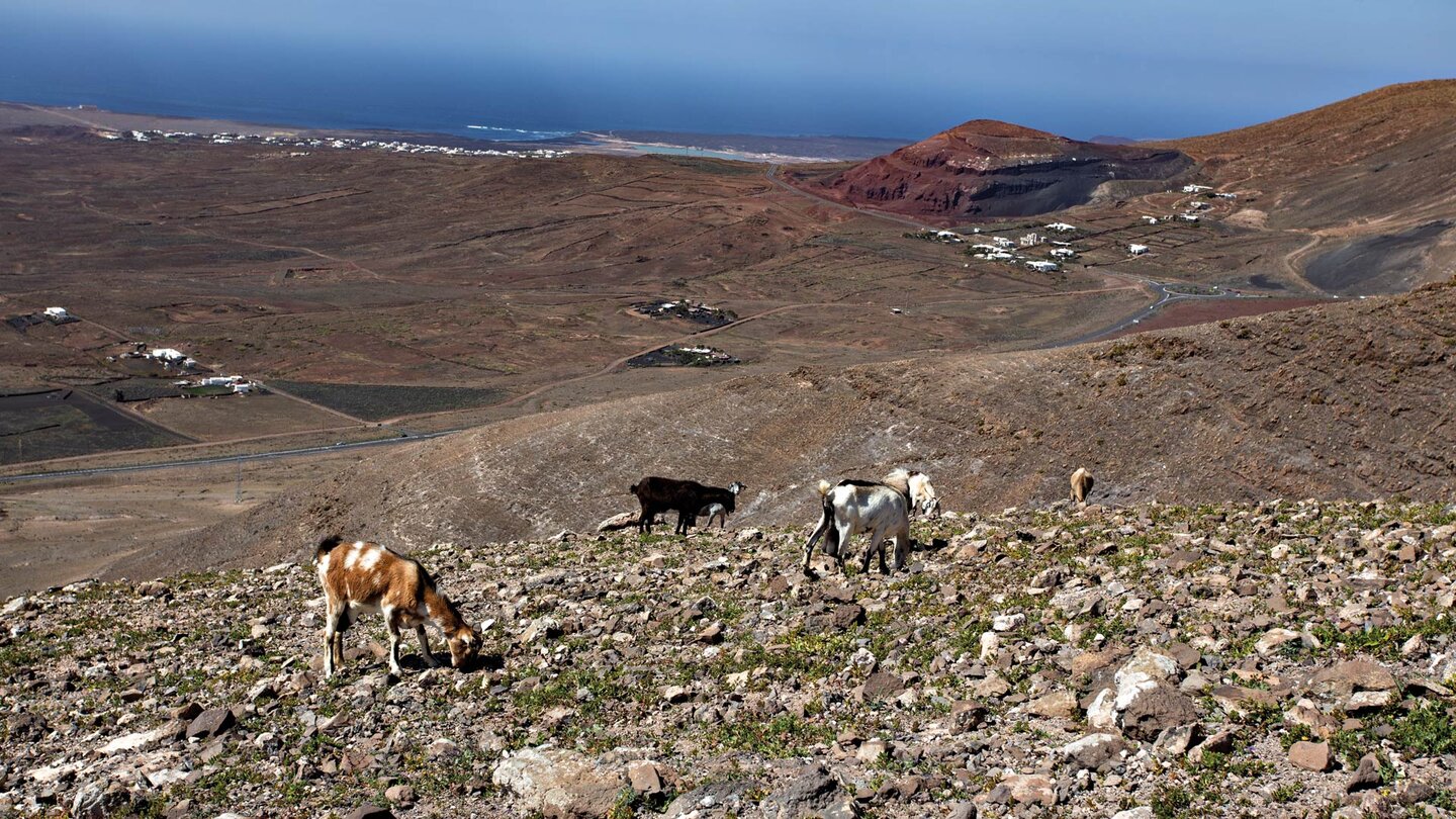 die Rubicón-Ebene mit Playa Blanca und der rot-schwarzen Caldera de Masión