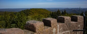 Ausblick vom Turm auf dem Grand Wintersberg