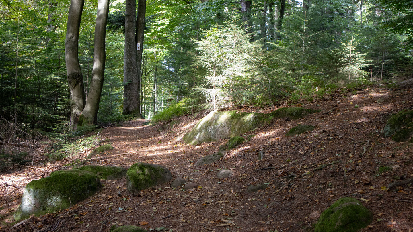 Wanderpfad am Col de la Liese